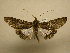  ( - 11-CRBS-088)  @12 [ ] No Rights Reserved (2011) JB Sullivan Research Collection of J. B. Sullivan