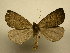  ( - 11-CRBS-131)  @14 [ ] No Rights Reserved (2011) JB Sullivan Research Collection of J. B. Sullivan