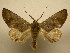  ( - 11-CRBS-155)  @14 [ ] No Rights Reserved (2011) JB Sullivan Research Collection of J. B. Sullivan