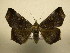  ( - 11-CRBS-0308)  @14 [ ] No Rights Reserved (2010) James Sullivan Research Collection of J. B. Sullivan