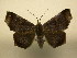  ( - 11-CRBS-0309)  @13 [ ] No Rights Reserved (2010) James Sullivan Research Collection of J. B. Sullivan