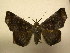  ( - 11-CRBS-0310)  @13 [ ] No Rights Reserved (2010) James Sullivan Research Collection of J. B. Sullivan