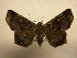  ( - 11-CRBS-0311)  @13 [ ] No Rights Reserved (2010) James Sullivan Research Collection of J. B. Sullivan
