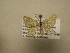  ( - 11-CRBS-621)  @12 [ ] No Rights Reserved (2010) James Sullivan Research Collection of J. B. Sullivan