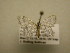  ( - 11-CRBS-624)  @13 [ ] No Rights Reserved (2010) James Sullivan Research Collection of J. B. Sullivan