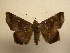  ( - 11-CRBS-783)  @14 [ ] No Rights Reserved (2010) James Sullivan Research Collection of J. B. Sullivan