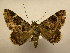  ( - 11-CRBS-821)  @14 [ ] No Rights Reserved (2010) James Sullivan Research Collection of J. B. Sullivan