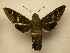  ( - 11-CRBS-0867)  @12 [ ] No Rights Reserved (2010) James Sullivan Research Collection of J. B. Sullivan