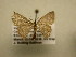  ( - 11-CRBS-1020)  @12 [ ] No Rights Reserved (2010) James Sullivan Research Collection of J. B. Sullivan