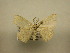  ( - 11-CRBS-1047)  @13 [ ] No Rights Reserved (2010) James Sullivan Research Collection of J. B. Sullivan