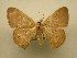  ( - 11-CRBS-1088)  @13 [ ] No Rights Reserved (2010) James Sullivan Research Collection of J. B. Sullivan
