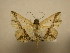  (Antiblemma Sullivan9099 - 11-CRBS-1171)  @13 [ ] No Rights Reserved (2010) James Sullivan Research Collection of J. B. Sullivan