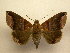  ( - 11-CRBS-1219)  @14 [ ] No Rights Reserved (2010) James Sullivan Research Collection of J. B. Sullivan