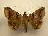  ( - 11-CRBS-1220)  @14 [ ] No Rights Reserved (2010) James Sullivan Research Collection of J. B. Sullivan