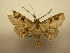  ( - 11-CRBS-1230)  @13 [ ] No Rights Reserved (2010) James Sullivan Research Collection of J. B. Sullivan
