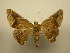  (Pero boa - 11-CRBS-1354)  @14 [ ] No Rights Reserved  J. B. Sullivan Unspecified