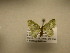  ( - 11-CRBS-1393)  @12 [ ] No Rights Reserved  J. B. Sullivan Unspecified