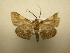  ( - 11-CRBS-1431)  @12 [ ] No Rights Reserved  J. B. Sullivan Unspecified