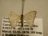  ( - 11-CRBS-1473)  @11 [ ] No Rights Reserved  J. B. Sullivan Unspecified