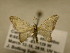  ( - 11-CRBS-1476)  @13 [ ] No Rights Reserved  J. B. Sullivan Unspecified