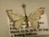  ( - 11-CRBS-1477)  @12 [ ] No Rights Reserved  J. B. Sullivan Unspecified