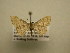  ( - 11-CRBS-1481)  @12 [ ] No Rights Reserved  J. B. Sullivan Unspecified