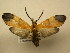  ( - 11-CRBS-1515)  @14 [ ] No Rights Reserved  J. B. Sullivan Unspecified