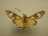  ( - 11-CRBS-1579)  @13 [ ] No Rights Reserved  J. B. Sullivan Unspecified
