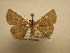  (Oruza Sullivan1278 - 11-CRBS-1661)  @13 [ ] No Rights Reserved  J. B. Sullivan Unspecified