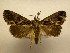  ( - 11-CRBS-1663)  @13 [ ] No Rights Reserved  J. B. Sullivan Unspecified