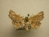  (Diagrapta - 11-CRBS-1723)  @14 [ ] No Rights Reserved  J. B. Sullivan Unspecified