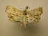  ( - 11-CRBS-1727)  @14 [ ] No Rights Reserved  J. B. Sullivan Unspecified