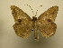  (Dyomyx Sullivan5638 - 11-CRBS-1758)  @13 [ ] No Rights Reserved  J. B. Sullivan Unspecified