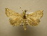  ( - 11-CRBS-1805)  @12 [ ] No Rights Reserved  J. B. Sullivan Unspecified