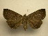  ( - 11-CRBS-1825)  @14 [ ] No Rights Reserved (2010) James Sullivan Research Collection of J. B. Sullivan