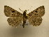  ( - 11-CRBS-1830)  @12 [ ] No Rights Reserved (2010) James Sullivan Research Collection of J. B. Sullivan