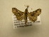  ( - 11-CRBS-1851)  @12 [ ] No Rights Reserved (2010) James Sullivan Research Collection of J. B. Sullivan