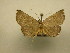 ( - 11-CRBS-1887)  @12 [ ] No Rights Reserved (2010) James Sullivan Research Collection of J. B. Sullivan