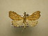  (Redectis Sullivan7490 - 11-CRBS-1960)  @13 [ ] No Rights Reserved (2010) James Sullivan Research Collection of J. B. Sullivan