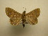  ( - 11-CRBS-2115)  @13 [ ] No Rights Reserved (2010) James Sullivan Research Collection of J. B. Sullivan