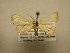  ( - 11-CRBS-2142)  @14 [ ] No Rights Reserved (2010) James Sullivan Research Collection of J. B. Sullivan