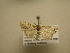  ( - 11-CRBS-2151)  @12 [ ] No Rights Reserved (2010) James Sullivan Research Collection of J. B. Sullivan