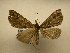  ( - 11-CRBS-2242)  @12 [ ] No Rights Reserved (2010) James Sullivan Research Collection of J. B. Sullivan