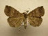  ( - 11-CRBS-2252)  @11 [ ] No Rights Reserved (2010) James Sullivan Research Collection of J. B. Sullivan
