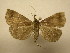  ( - 11-CRBS-2256)  @12 [ ] No Rights Reserved (2010) James Sullivan Research Collection of J. B. Sullivan