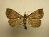  ( - 11-CRBS-2257)  @12 [ ] No Rights Reserved (2010) James Sullivan Research Collection of J. B. Sullivan