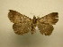  ( - 11-CRBS-2258)  @12 [ ] No Rights Reserved (2010) James Sullivan Research Collection of J. B. Sullivan