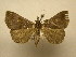  ( - 11-CRBS-2280)  @11 [ ] No Rights Reserved (2010) James Sullivan Research Collection of J. B. Sullivan