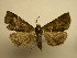  ( - 11-CRBS-2281)  @13 [ ] No Rights Reserved (2010) James Sullivan Research Collection of J. B. Sullivan
