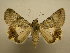  ( - 11-CRBS-2288)  @13 [ ] No Rights Reserved (2010) James Sullivan Research Collection of J. B. Sullivan